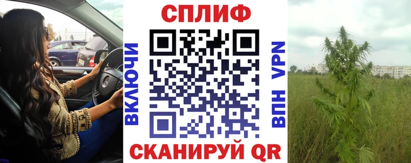 Купить где  Киржач  Каннабис семена 